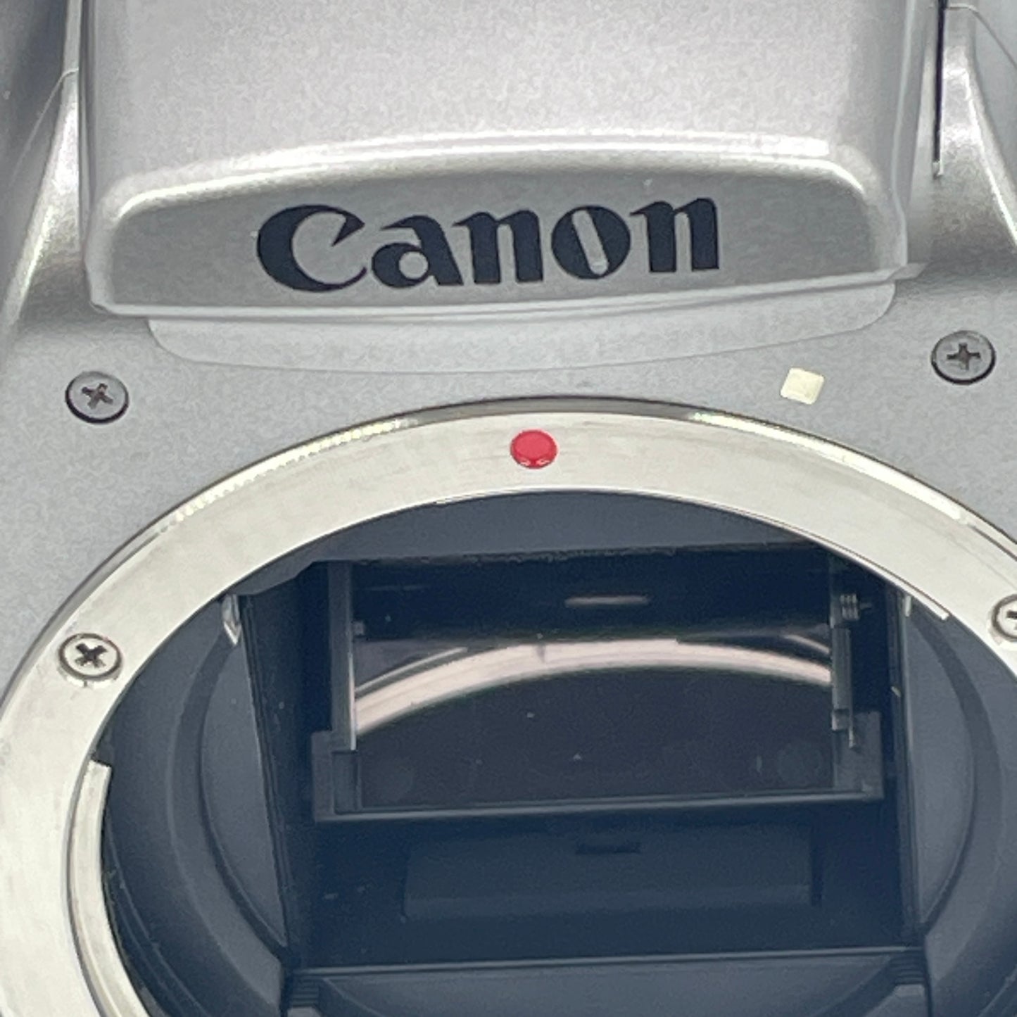 Canon EOS Rebel DS6041 6.3MP Digital SLR Camera Body Only